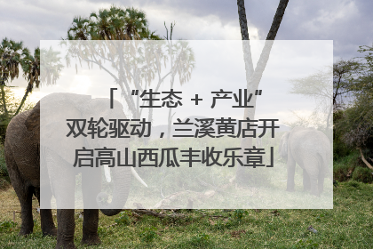 “生态 + 产业”双轮驱动，兰溪黄店开启高山西瓜丰收乐章